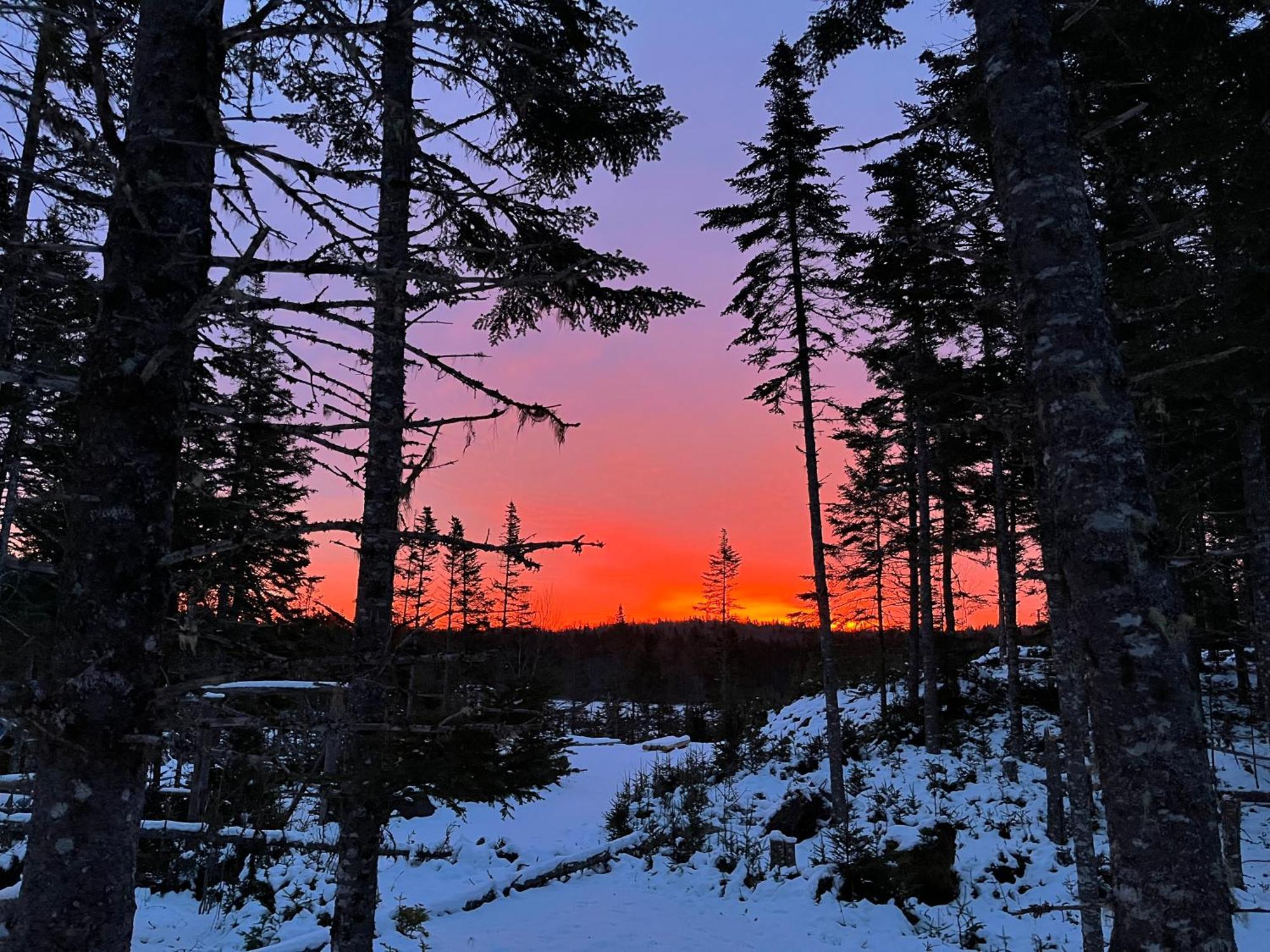 Fiddler'S Lake Escape Gabarus Esterno foto